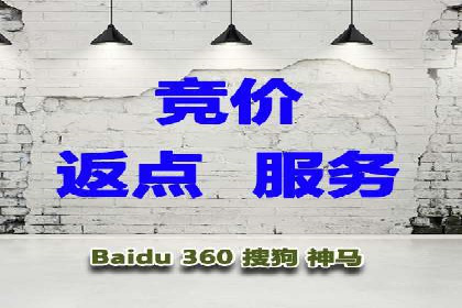 案例解读：百度推广代运营公司助力行业翘楚